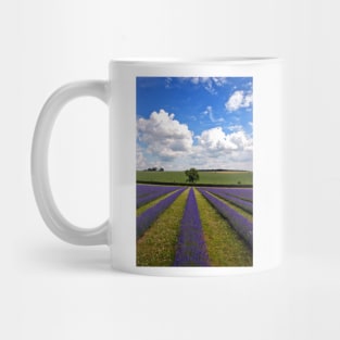 Lavender Field Purple Flowers Cotswolds England Mug